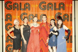 annual fundraising gala