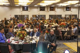 annual fundraising gala