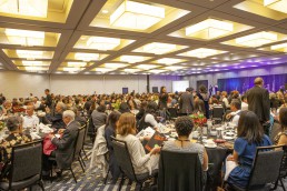annual fundraising gala