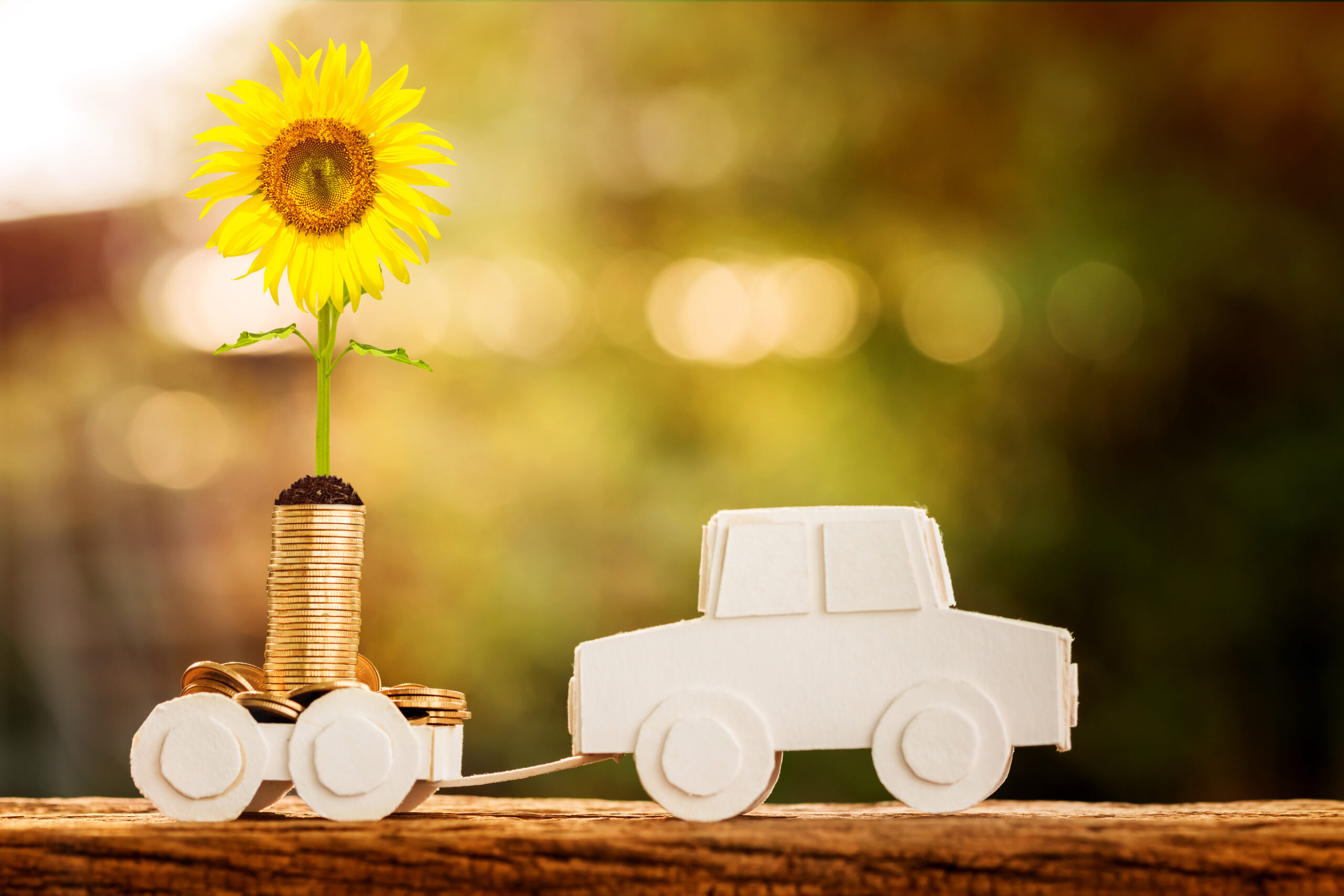 Donate Car